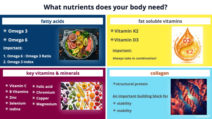 Nutriments importants pour la membrane cellulaire